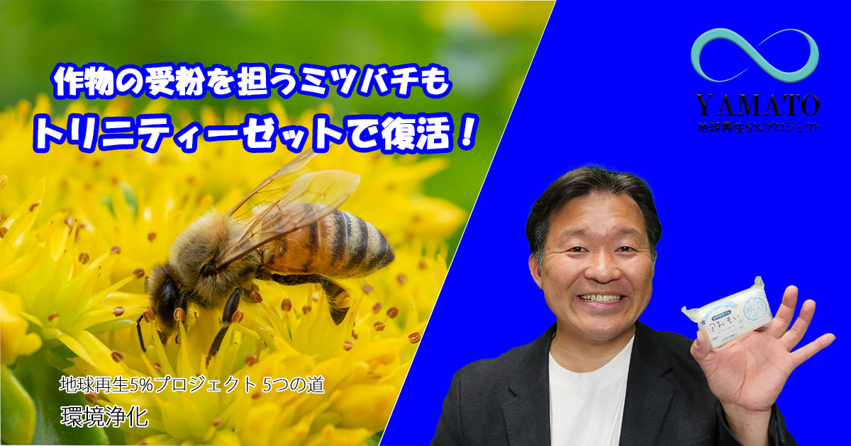 生体融合型光触媒 トリニティーゼットでミツバチが強くなる！