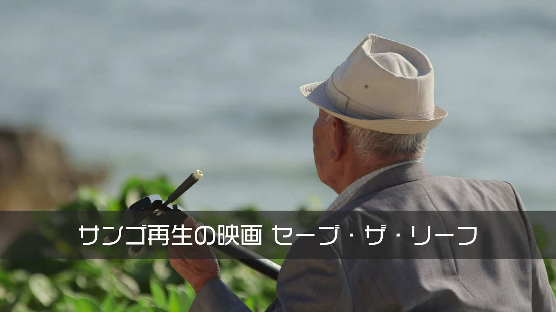 サンゴ再生の映画 セーブ・ザ・リーフ上映会